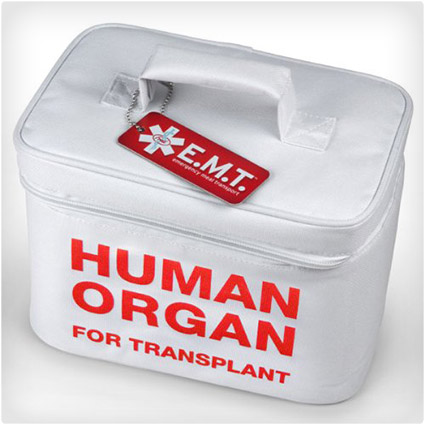 Human Organ Meal Transport