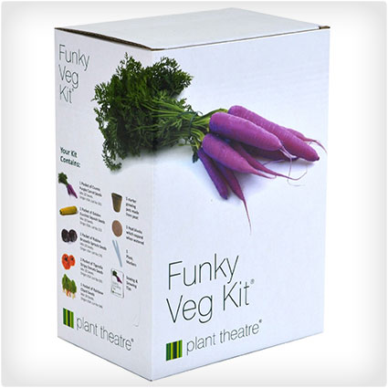 Funky-Veg-Kit