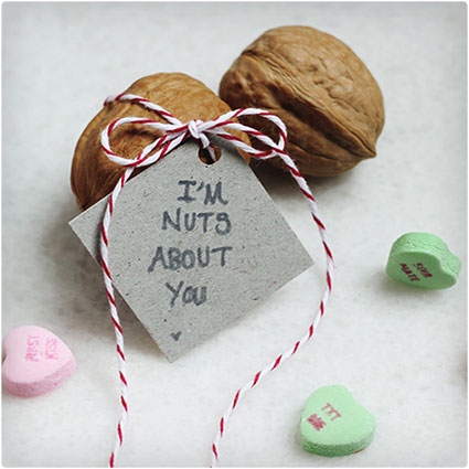 I'm-Nuts-About-You-Walnut-Valentine
