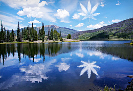 Colorado Cannabis Sampler Vacation
