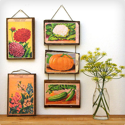 Seed Packet Art