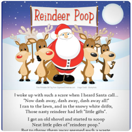 Reindeer Poop Stocking Stuffer