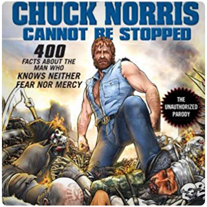 Chuck Norris Cannot Be Stopped Book
