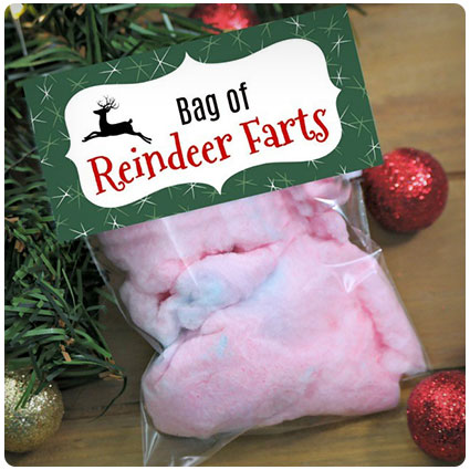 Diy Bag of Reindeer Farts