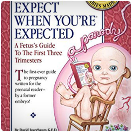 What to Expect When You're Expected Book