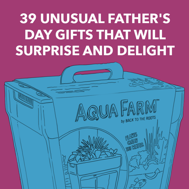 Unusual Father's Day Gifts